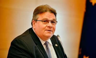 «Только новые, прозрачные, демократические выборы». Глава МИД Литвы резко ответил Макею