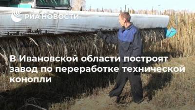 В Ивановской области построят завод по переработке технической конопли