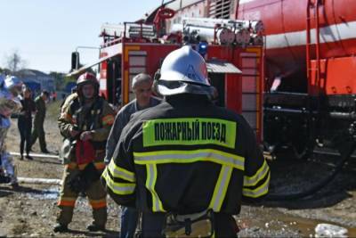 Пожарный поезд выехал на тушение леса под Воронежем