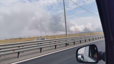 Мощный лесной пожар вплотную подобрался к воронежскому селу