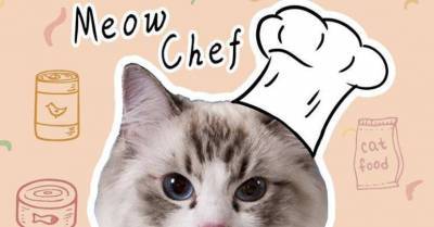 Любопытный кот стал «шеф-поваром» TikTok из-за карантина и превзошел шесть своих братьев