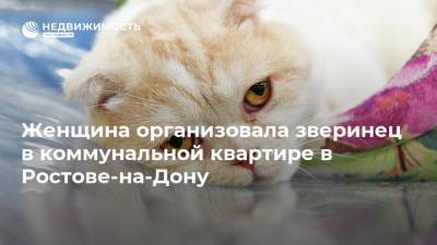 Женщина организовала зверинец в коммунальной квартире в Ростове-на-Дону