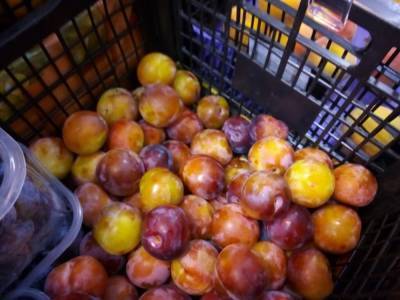 На столичных рынках подешевели сливы, а цена персиков в 2 раза ниже магазинной