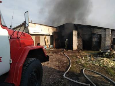 Пожар уничтожил пилораму в Хлевном