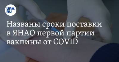 Названы сроки поставки в ЯНАО первой партии вакцины от COVID