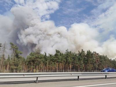Жителей посёлка в Воронежской области могут эвакуировать из-за серьёзного пожара
