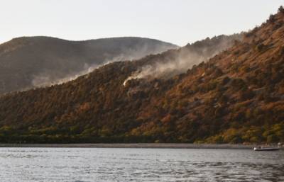 Пожар в заповеднике под Анапой ликвидирован, сгорело 130 га леса