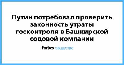 Путин потребовал проверить законность утраты госконтроля в Башкирской содовой компании