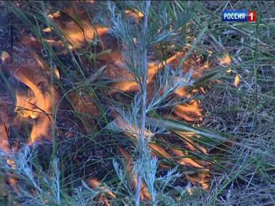 Вертолет Ми-8 приступил к тушению ландшафтного пожара в Обливском районе
