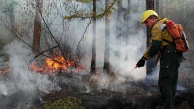 Площадь пожара в лесничестве Ростовской области достигла 5 га