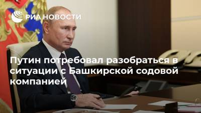 Путин потребовал разобраться в ситуации с Башкирской содовой компанией