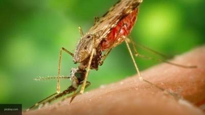 Фармацевт: не стоит обрабатывать руки средством от комаров в борьбе с COVID