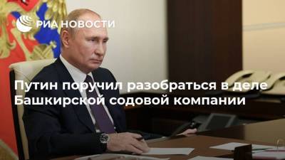 Путин поручил разобраться в деле Башкирской содовой компании