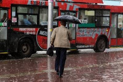 И нет просвета от дождей: какая погода будет в Новосибирске 27 августа