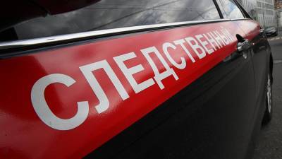 Жителя Подмосковья обвинили в убийстве пожилой женщины
