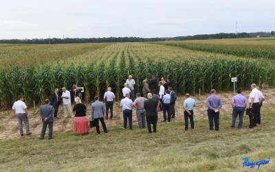 В Барановичском районе прошел республиканский семинар-совещание по вопросам семеноводства кукурузы в условиях Республики Беларусь