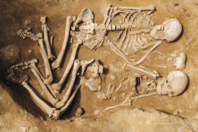 Житель Улан-Удэ нашел в огороде останки семьи, умершей 7 тысяч лет назад