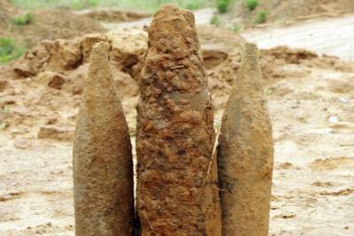 В Смоленской деревне Петушки найдены мина и снаряд времен Второй Мировой