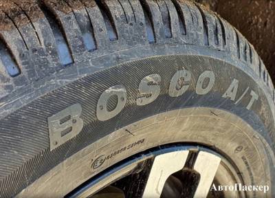«АвтоПаскер»: шины Viatti Bosco A/T справляются с любыми дорогами