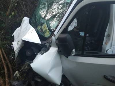 На дороге во Львовской области в ДТП разбился микроавтобус: погибли пешеход и пассажир