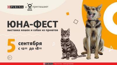 В Москве пройдёт выставка-пристройство собак и кошек из приютов