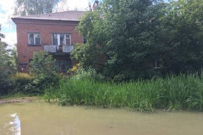 В центре Смоленска цветет полноценное болото на улице Кирова