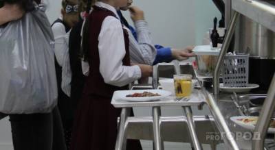 Чебоксарские чиновники запустили голосование: бесплатный завтрак или обед сделать для школьников?