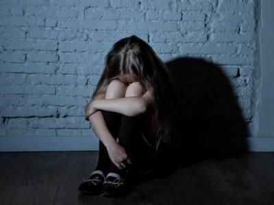 Изнасилование 4-летней девочки школьниками возле Новых Санжар: СМИ собрали высказывания людей в Сети