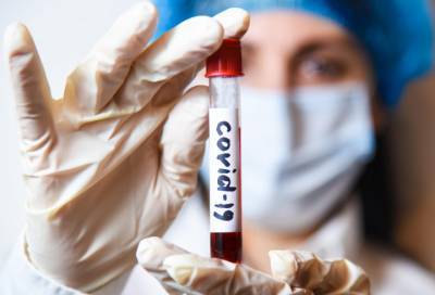 Ленобласть: темп прироста по коронавирусу на 27 августа – один из самых низких в стране
