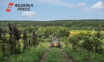В Екатеринбургском лесничестве показали, как выращивают деревья для города