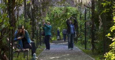 В Ботаническом саду Калининграда снова открылись оранжереи