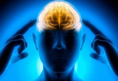 Медики рассказали, как улучшить работу мозга без лекарств