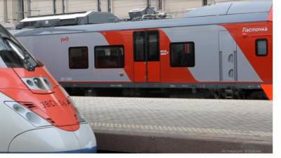 Пассажир в Пулково пытался провезти через границу детали для поездов "Ласточка"