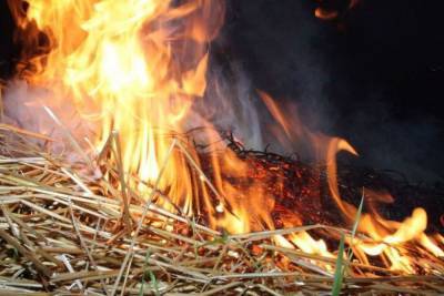 В сарае в Тверской области два часа горело сено
