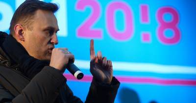 Транспортная полиция проводит проверку после госпитализации Навального