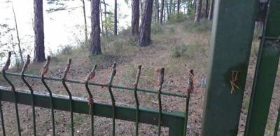 Минэкологии собирается снести забор вокруг коттеджного поселка на озере Тургояк