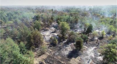 Выгорело 5 га: в лесничестве Обливского района потушили пожар