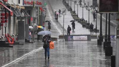 Вильфанд: потопа в Москве не будет, но дожди пройдут