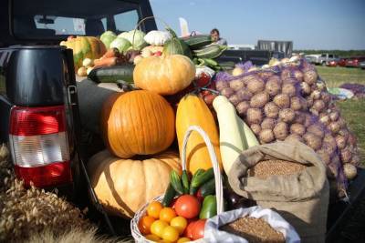 Новый рекорд побит! Ульяновские аграрии собрали 2 миллиона тонн урожая