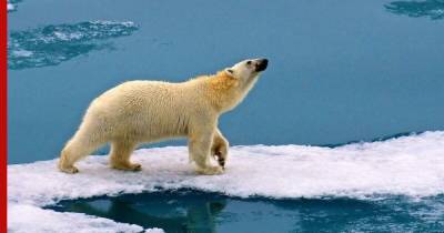 Названа растущая угроза со стороны арктических льдов