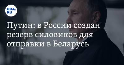 Путин: в России создан резерв силовиков для отправки в Беларусь