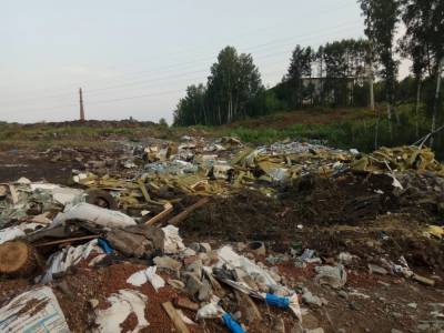 Природоохранная прокуратура через суд заставила лесной департамент убрать свалки под Томском