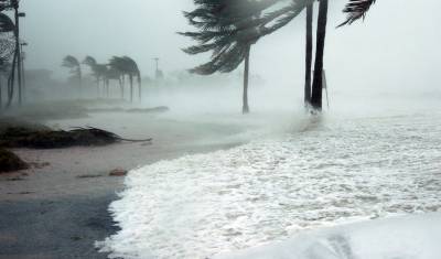 Мощнейший за 160 лет ураган «Лаура» обрушился на юг США
