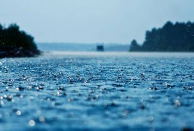 Дождь и прохлада: погода в Ленобласти на 28 августа
