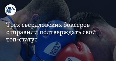 Трех свердловских боксеров отправили подтверждать свой топ-статус. На кону — 15 млн рублей