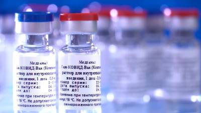 На стадии регистрации в России находятся еще три вакцины