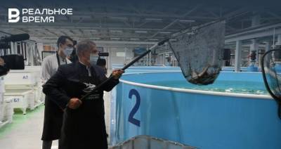 Минниханов открыл вторую очередь рыбоводного комплекса «Биосфера-Фиш»