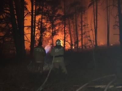 На тушение пожара в Лискинском районе Воронежской области ушли сутки