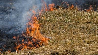 В России огнем охвачены более 70 тысяч гектаров