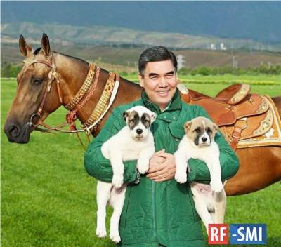 Президент Туркменистана поручил развивать национальное собаководство